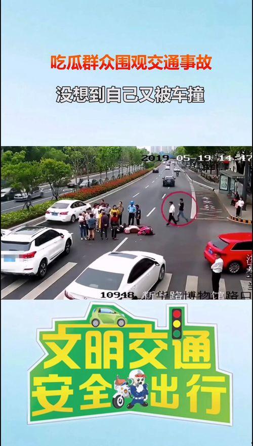 东莞吃瓜群众围观事件,网络热议背后的社会现象解析