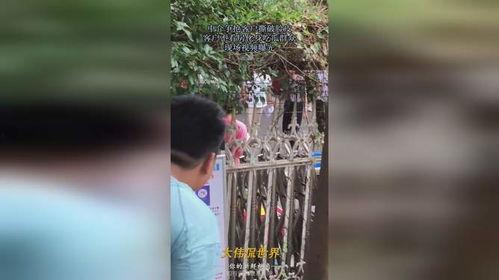 鹿泉吃瓜群众视频曝光,揭秘事件背后真相