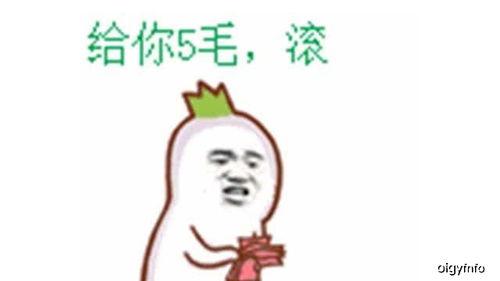 照亮你一群吃瓜群众,揭秘一群吃瓜群众的非凡故事