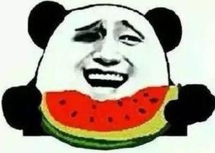 吃瓜群众看的视频是个啥,揭秘“吃瓜群众”眼中的视频世界