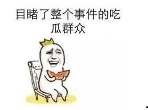 吃瓜群众看的视频是个啥,揭秘“吃瓜群众”眼中的视频世界