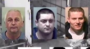 穿成吃瓜群众的小说,穿越成吃瓜群众的娱乐圈日常