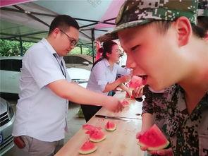 陈大姐吃瓜群众是哪一集,揭秘热门剧集背后的故事