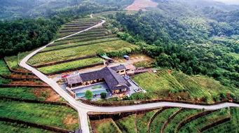 老林是个吃瓜群众的人,一位吃瓜群众的趣味人生