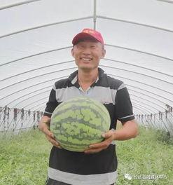 喜获吃瓜群众称号,揭秘网络热词背后的文化现象