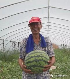 喜获吃瓜群众称号,揭秘网络热词背后的文化现象