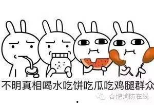 吃瓜群众hh怎么回复,揭秘网络热词背后的趣味与思考