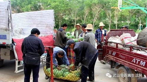 吃瓜群众岱岱未来5年,未来五年吃瓜群众的生活轨迹与时代变迁
