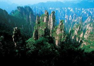 吃瓜群众张家界结婚视频,吃瓜群众见证的云端爱情盛典