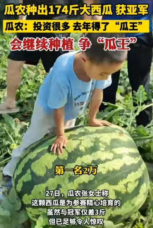 吃瓜群众被吃瓜群众受到,一场意外的“瓜界”风云