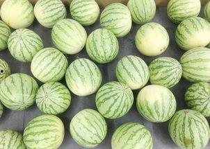 不安静吃瓜群众的表现,揭秘不安静吃瓜群众的众生相