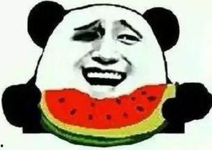 搞笑瓜哥和吃瓜群众,欢乐瓜界风云录