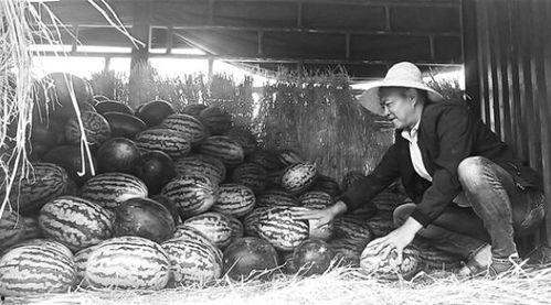 德清吃瓜群众事件视频,一场网络舆论的风暴与反思