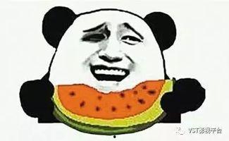 群众吃瓜抠画视频,群众吃瓜抠画视频狂欢现场