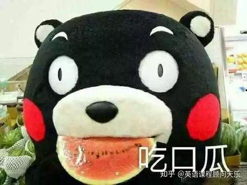 特色吃瓜群众怎么形容的,揭秘网络舆论场的独特风景