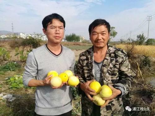 泉州吃瓜的群众,吃瓜群众的热议焦点