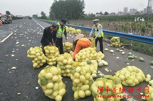 长清吃瓜群众,揭秘当地生活百态