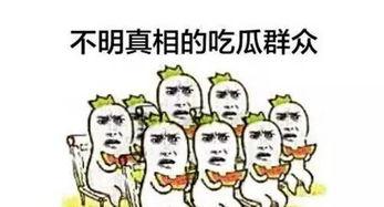 第444章 吃瓜群众,吃瓜群众视角下的风云变幻
