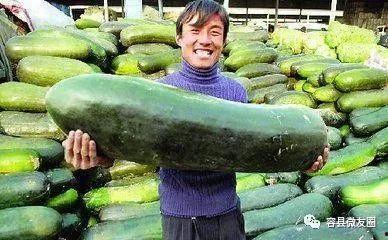 吃瓜群众在哪里 这两天有大瓜,这两天大瓜连连,揭秘幕后真相