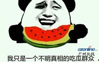 吃瓜群众 分类怎么分的,揭秘网络舆论场的众生相