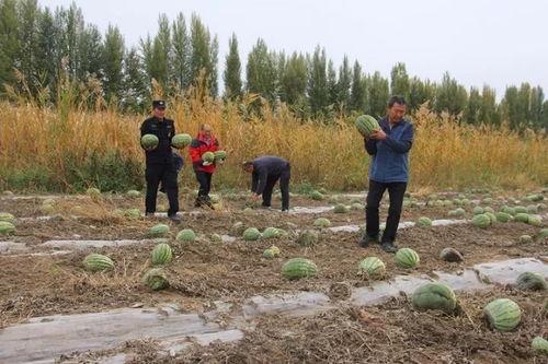 吃瓜群众岱岱到陈124,陈124背后的故事