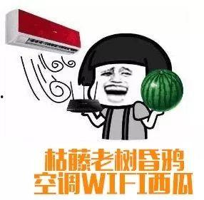 吃瓜群众朱某是谁呀知乎