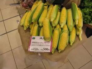 国家级专业吃瓜群众