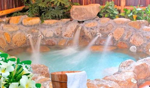 永定温泉吃瓜群众事件,一场网络舆论的风波与反思