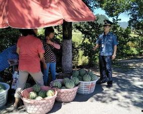 吃瓜群众在七零 晋江,吃瓜群众的欢乐岁月