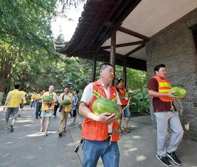 吃瓜群众襄垣,揭秘当地热点事件背后的真相