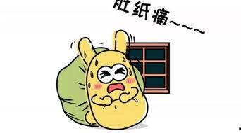 兰州的吃瓜群众,吃瓜群众的美食盛宴