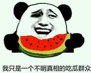 加菲吃瓜群众是真的吗,吃瓜群众身份之谜揭晓