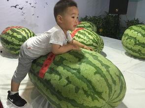 吃瓜群众事件由来,网络时代的围观力量与舆论风向标